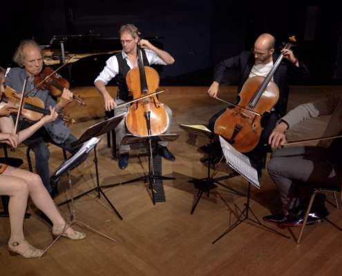 Dutch String collective band viool